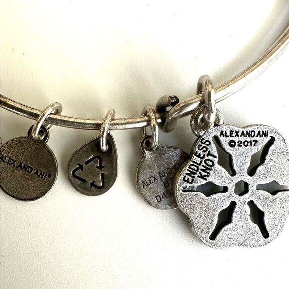 Alex and Ani Endless Knot Charm Bangle bracelet - Picture 7 of 8